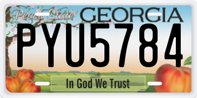 GA license plate PYU5784