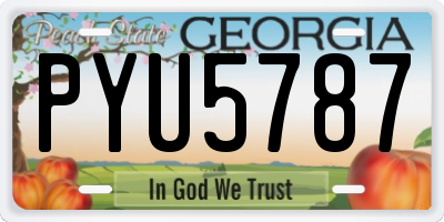 GA license plate PYU5787