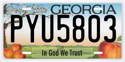 GA license plate PYU5803