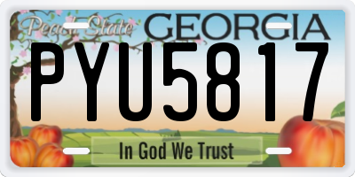 GA license plate PYU5817