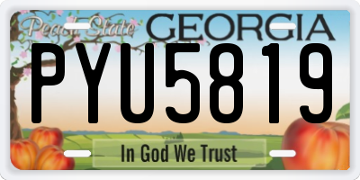 GA license plate PYU5819