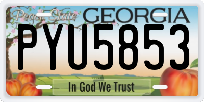 GA license plate PYU5853