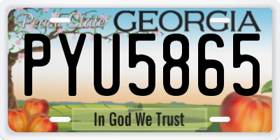 GA license plate PYU5865