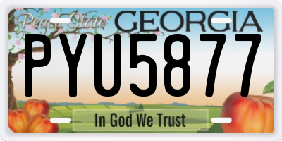 GA license plate PYU5877