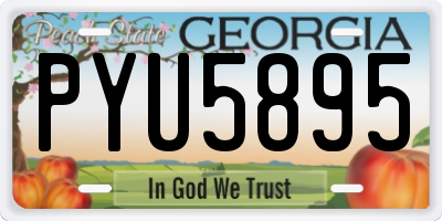 GA license plate PYU5895