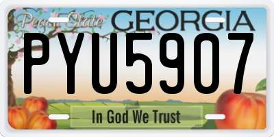 GA license plate PYU5907
