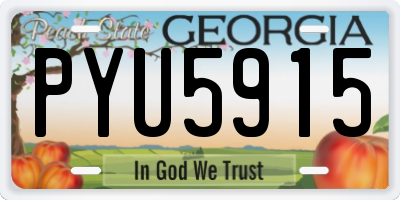 GA license plate PYU5915