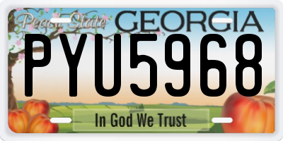 GA license plate PYU5968
