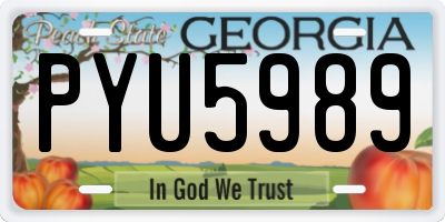 GA license plate PYU5989