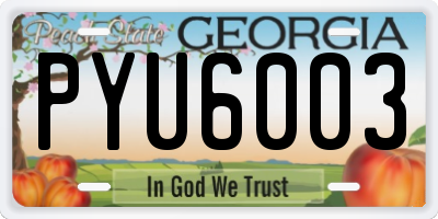 GA license plate PYU6003