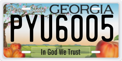 GA license plate PYU6005