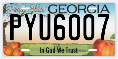 GA license plate PYU6007