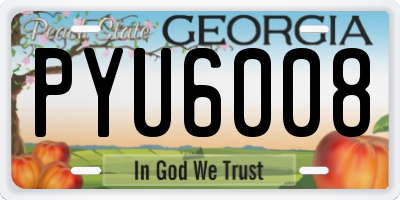 GA license plate PYU6008