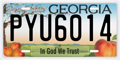 GA license plate PYU6014
