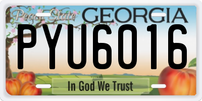 GA license plate PYU6016