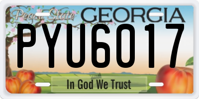 GA license plate PYU6017