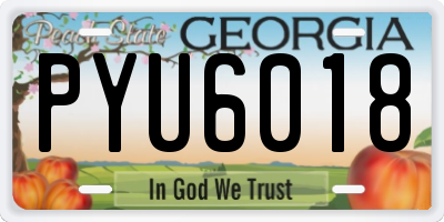 GA license plate PYU6018