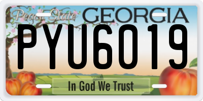 GA license plate PYU6019