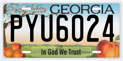 GA license plate PYU6024