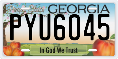 GA license plate PYU6045