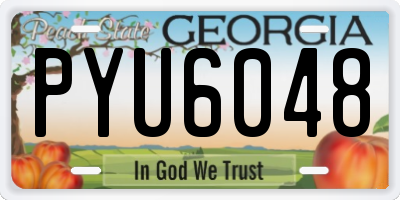 GA license plate PYU6048