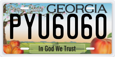 GA license plate PYU6060