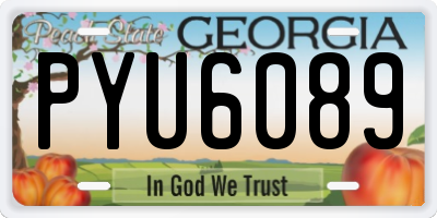 GA license plate PYU6089