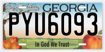 GA license plate PYU6093