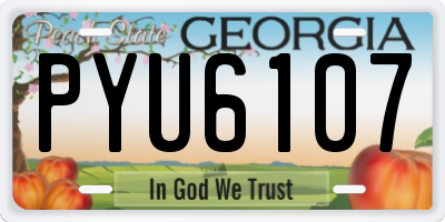 GA license plate PYU6107