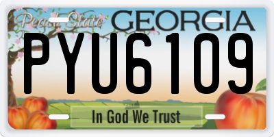 GA license plate PYU6109