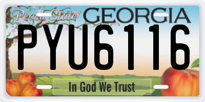 GA license plate PYU6116