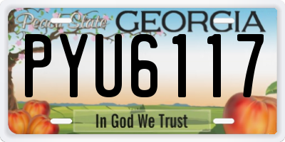 GA license plate PYU6117
