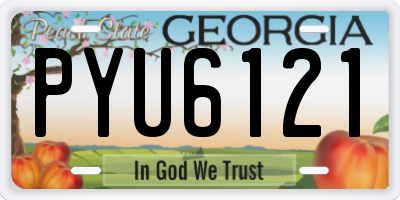 GA license plate PYU6121