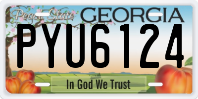 GA license plate PYU6124