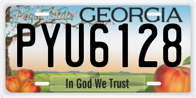 GA license plate PYU6128