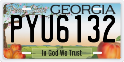 GA license plate PYU6132