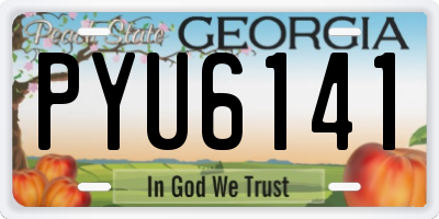 GA license plate PYU6141