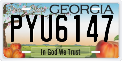 GA license plate PYU6147