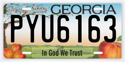 GA license plate PYU6163