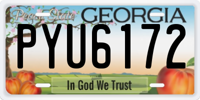 GA license plate PYU6172