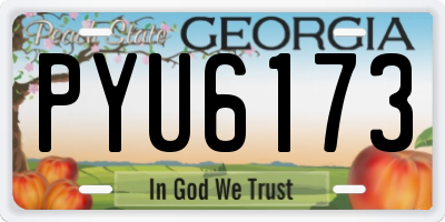 GA license plate PYU6173