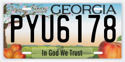 GA license plate PYU6178