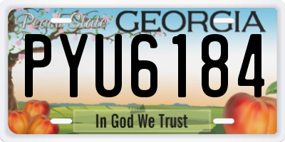 GA license plate PYU6184