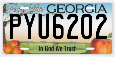 GA license plate PYU6202