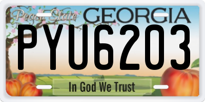GA license plate PYU6203