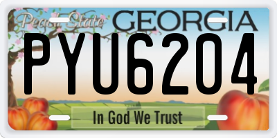 GA license plate PYU6204