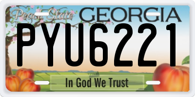 GA license plate PYU6221