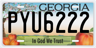 GA license plate PYU6222