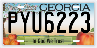 GA license plate PYU6223