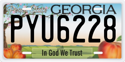 GA license plate PYU6228
